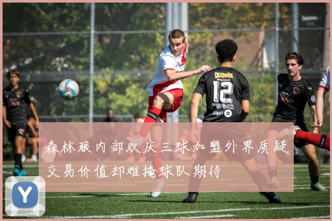 森林狼内部欢庆三球加盟外界质疑交易价值却难掩球队期待