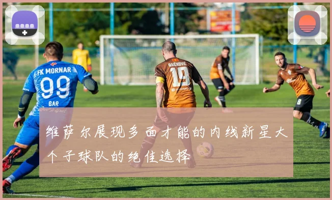 维萨尔展现多面才能的内线新星大个子球队的绝佳选择