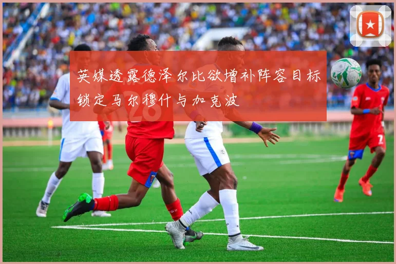 英媒透露德泽尔比欲增补阵容目标锁定马尔穆什与加克波