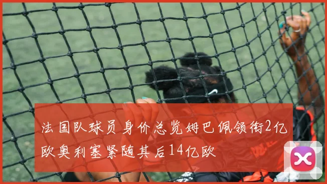 法国队球员身价总览姆巴佩领衔2亿欧奥利塞紧随其后14亿欧